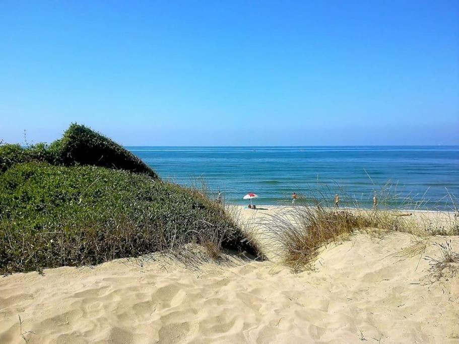 Sea Of Rome - Holiday Home Lido di Ostia Bagian luar foto